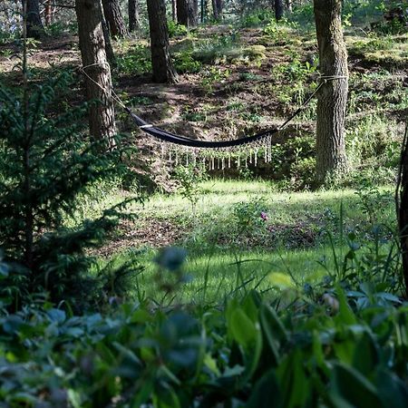 Uroczy Maly Domek Na Lesnej Dzialce - Losiowka Losie Exterior photo